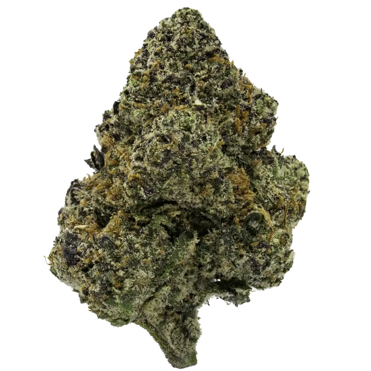 Bubblegum Gelato