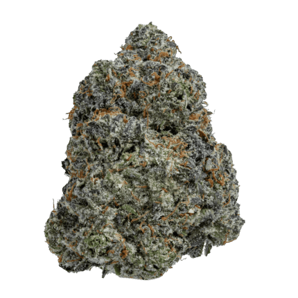 Sherbet